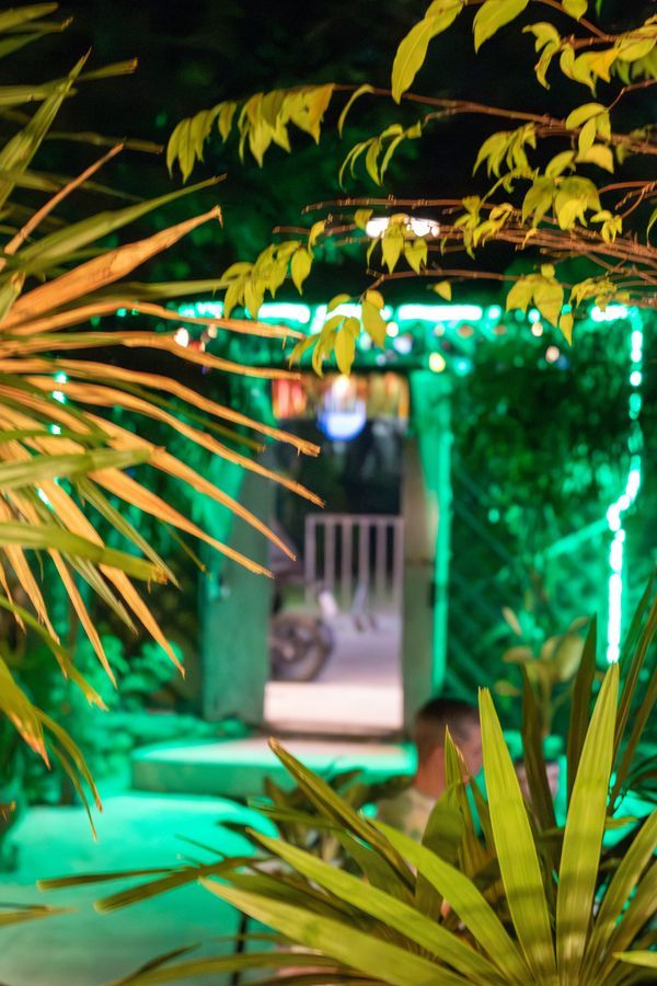 Night Garden