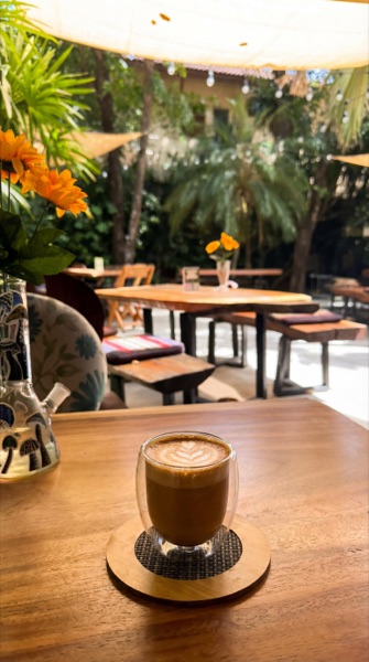 Coffee & Cannabis at Magical Garden