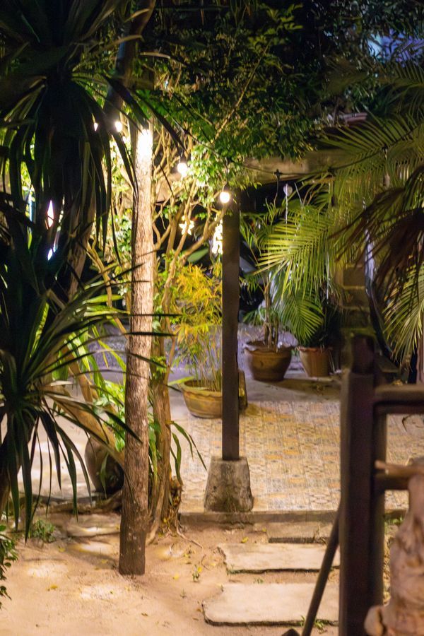 Garden Atmosphere